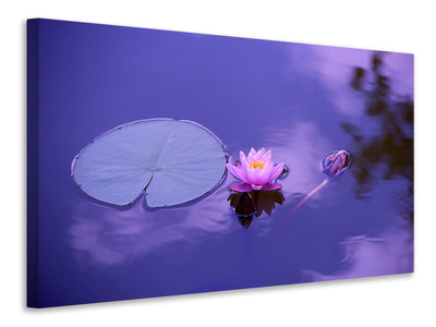 4-piece-canvas-print-lotus-flower
