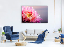 panoramic-canvas-print-macro-chrysanthemum