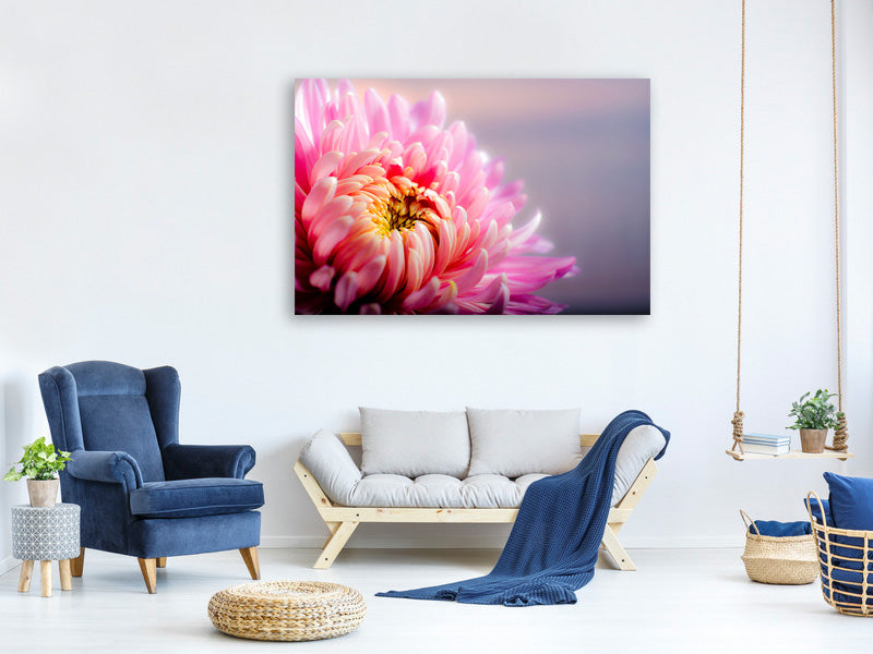 5-piece-canvas-print-macro-chrysanthemum