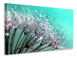 modern-4-piece-canvas-print-macro-dandelion-p