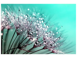panoramic-3-piece-canvas-print-macro-dandelion-p