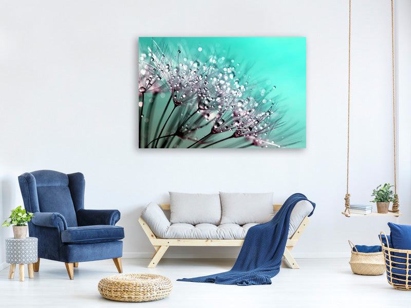 modern-3-piece-canvas-print-macro-dandelion-p