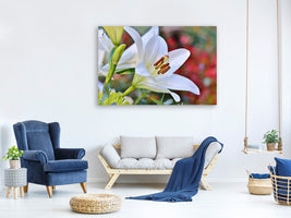 modern-4-piece-canvas-print-magnificent-lily-in-white