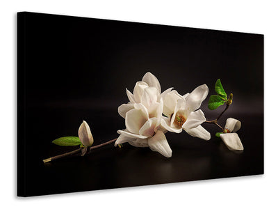 4-piece-canvas-print-magnolia
