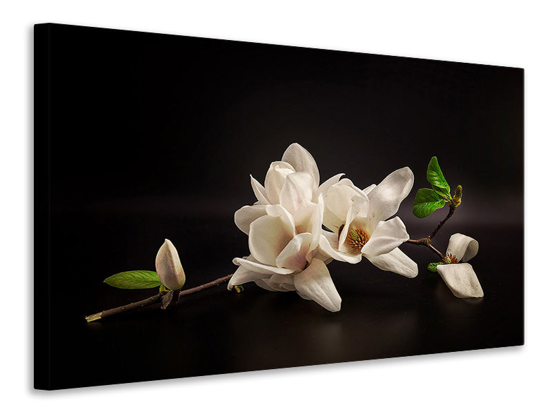 modern-4-piece-canvas-print-magnolia