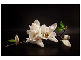 4-piece-canvas-print-magnolia