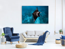 5-piece-canvas-print-manta-fly