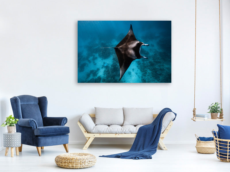 3-piece-canvas-print-manta-fly