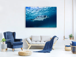 panoramic-3-piece-canvas-print-manta-ray