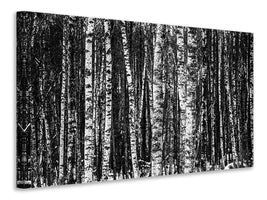 3-piece-canvas-print-many-birches-xl