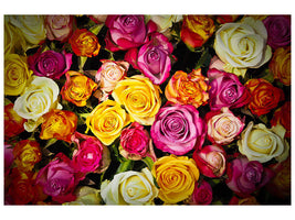 panoramic-3-piece-canvas-print-many-colorful-rose-petals