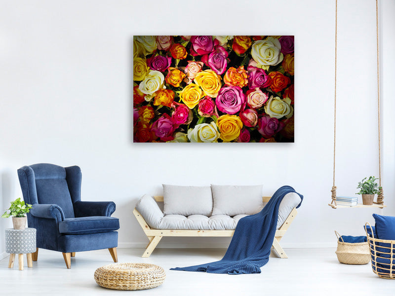panoramic-3-piece-canvas-print-many-colorful-rose-petals