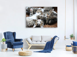 3-piece-canvas-print-many-kittens