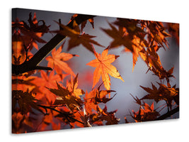 4-piece-canvas-print-maple-leaves-in-autumn
