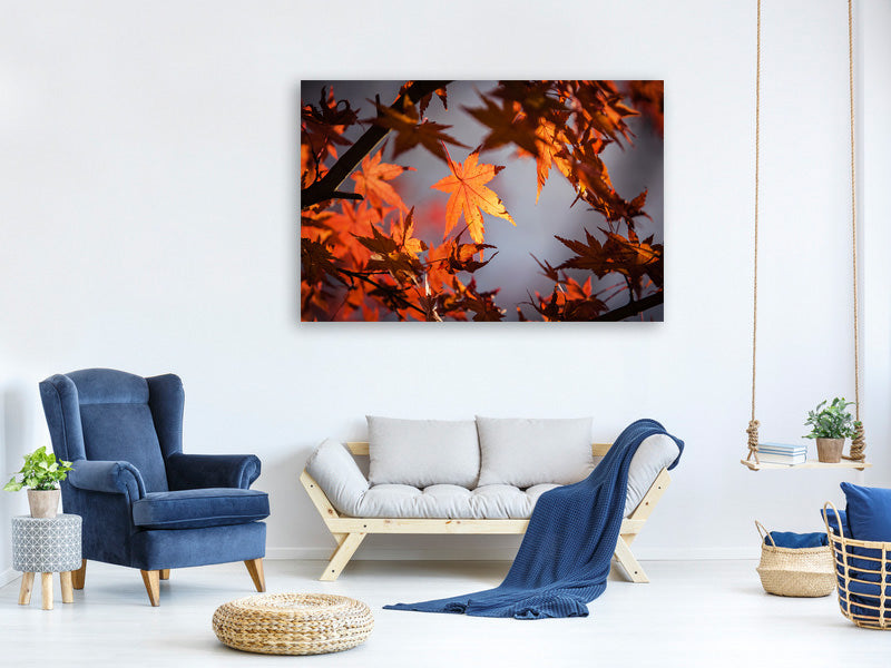 3-piece-canvas-print-maple-leaves-in-autumn