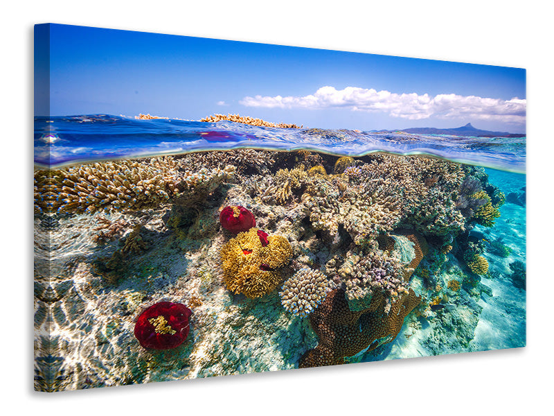 3-piece-canvas-print-mayotte-the-reef