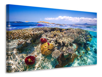 4-piece-canvas-print-mayotte-the-reef