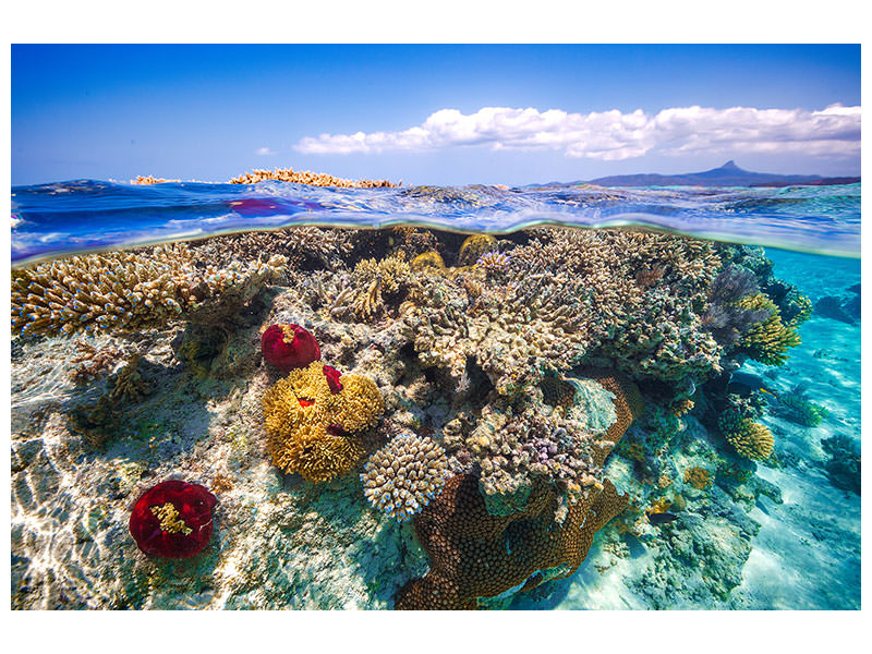 3-piece-canvas-print-mayotte-the-reef