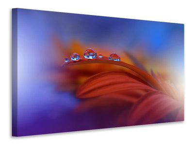 panoramic-3-piece-canvas-print-metamorphosis