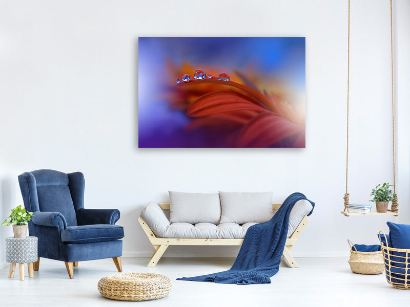 panoramic-3-piece-canvas-print-metamorphosis