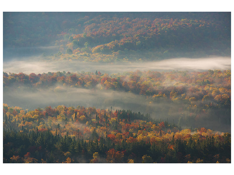 panoramic-3-piece-canvas-print-misty-morning-ii-a