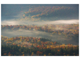 modern-4-piece-canvas-print-misty-morning-ii-a