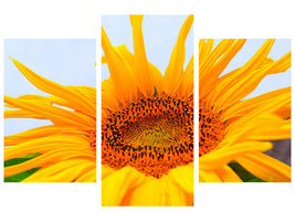 modern-3-piece-canvas-print-big-sunflower