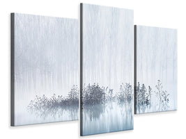 modern-3-piece-canvas-print-cold-and-foggy-morning-in-the-swamp