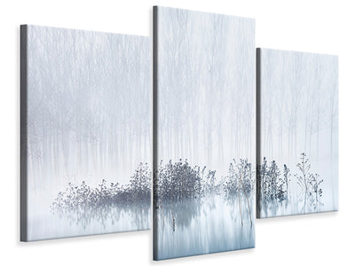 modern-3-piece-canvas-print-cold-and-foggy-morning-in-the-swamp