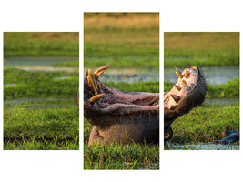 modern-3-piece-canvas-print-dare-to-yawn