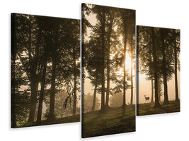 modern-3-piece-canvas-print-deer-in-the-morning-mist