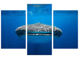 modern-3-piece-canvas-print-face-to-face-with-a-whale-shark