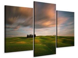 modern-3-piece-canvas-print-fields