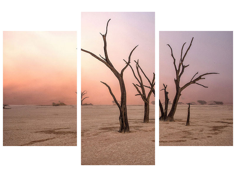 modern-3-piece-canvas-print-fog-in-deadvlei