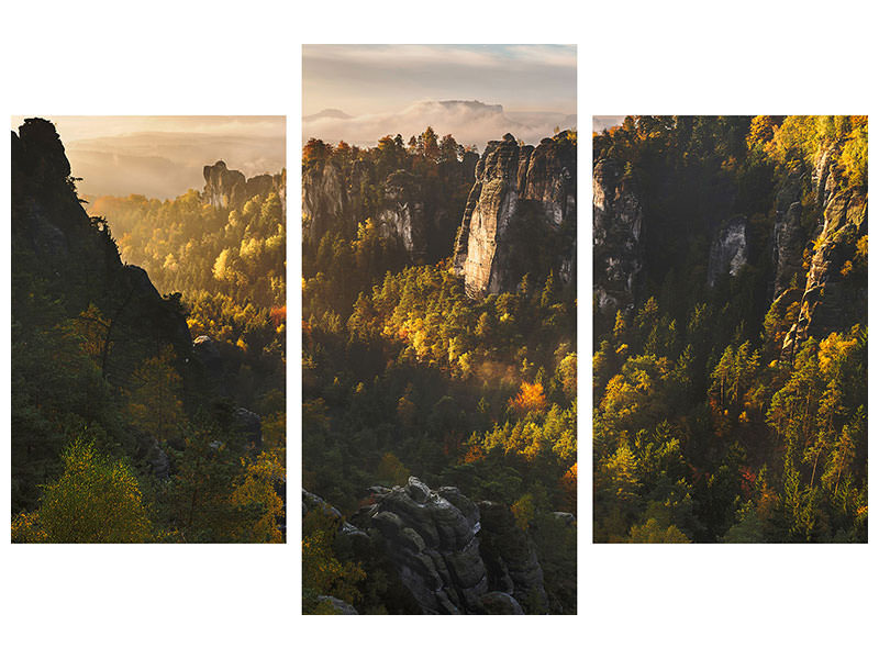 modern-3-piece-canvas-print-forest-whispers