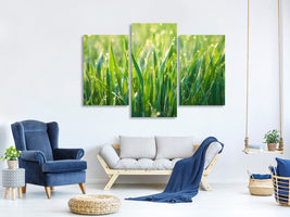 modern-3-piece-canvas-print-grass-with-morning-dew-xl