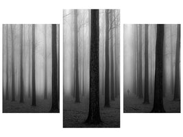 modern-3-piece-canvas-print-in-a-fog