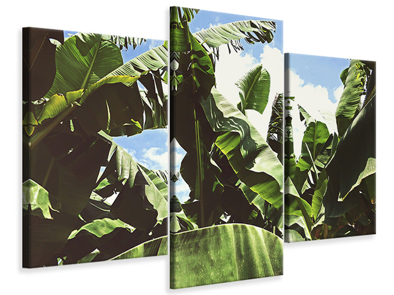 modern-3-piece-canvas-print-in-the-middle-of-the-jungle