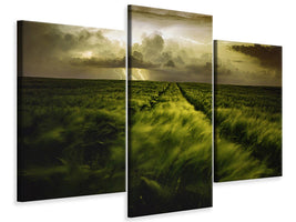 modern-3-piece-canvas-print-journey-to-the-fierce-storm