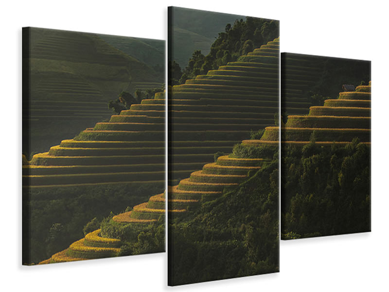 modern-3-piece-canvas-print-landing-fields-at-sunrise-beautiful-golden-light-shines