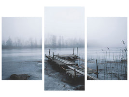 modern-3-piece-canvas-print-left-for-winter