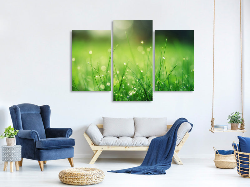 modern-3-piece-canvas-print-meadow-with-morning-dew