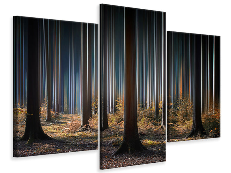 modern-3-piece-canvas-print-mystic-wood