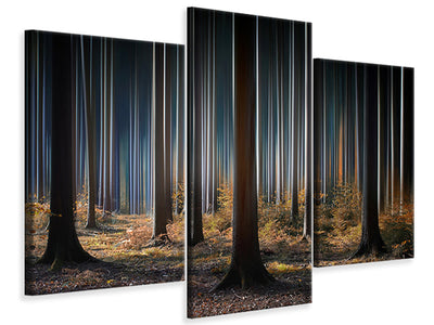 modern-3-piece-canvas-print-mystic-wood