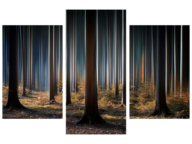 modern-3-piece-canvas-print-mystic-wood