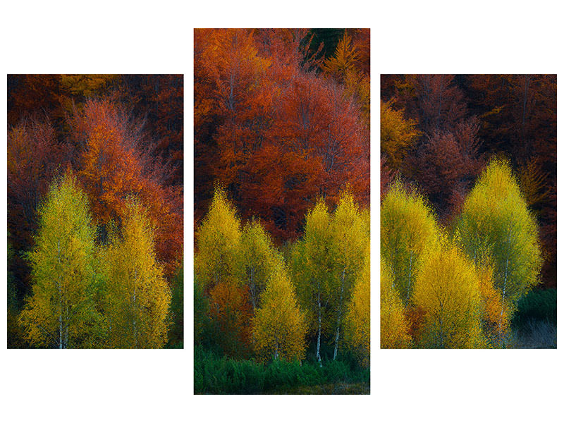 modern-3-piece-canvas-print-nimbrethil