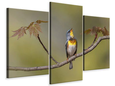 modern-3-piece-canvas-print-parula-on-stage