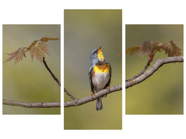 modern-3-piece-canvas-print-parula-on-stage
