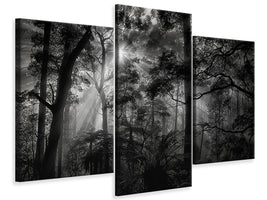 modern-3-piece-canvas-print-primary-forest