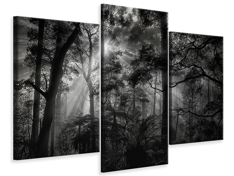 modern-3-piece-canvas-print-primary-forest